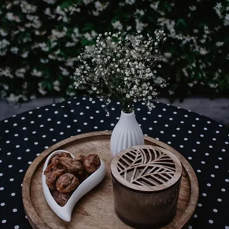 Tea Apartment Split