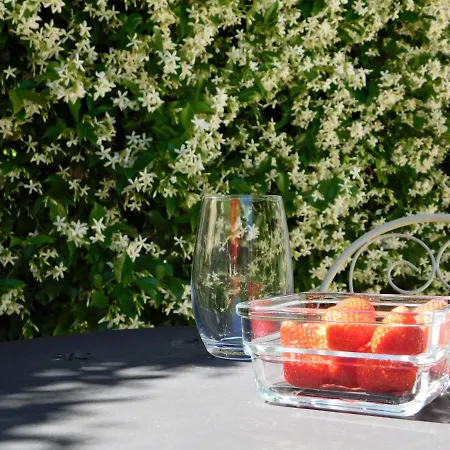 Tea Διαμέρισμα Σπλιτ